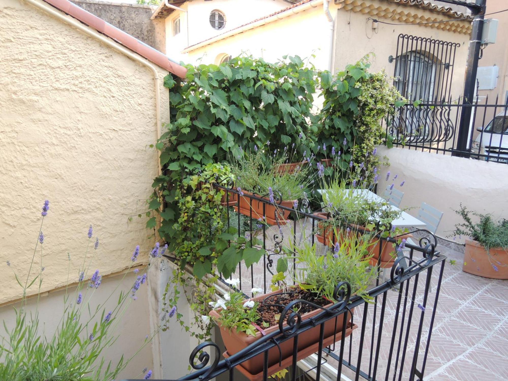Acci Cannes Old City Pokoj fotografie